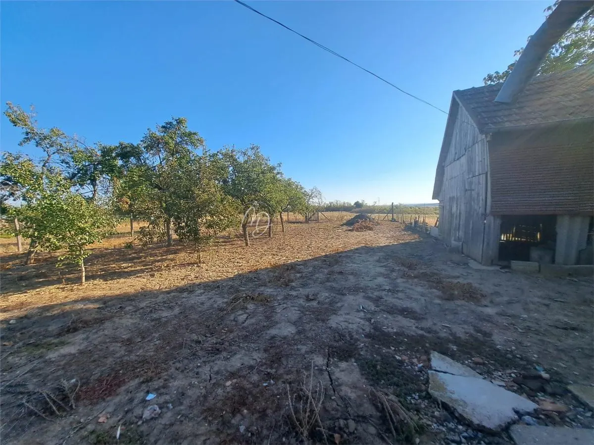 Traditional House with Generous Land in Bicaci, Bihor - foto 9