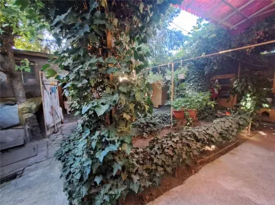 Exclusive Central House in Salonta - foto 15