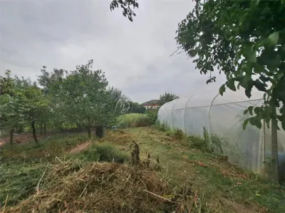 Casa de Campo con Sótano en Salard, Bihor – Parcela de 1.967 m² - foto 6