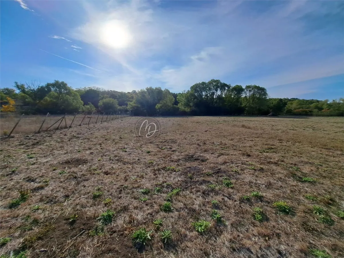 Exclusive Building Land in Uileacu de Munte, Bihor – 3,043 sqm - foto 5