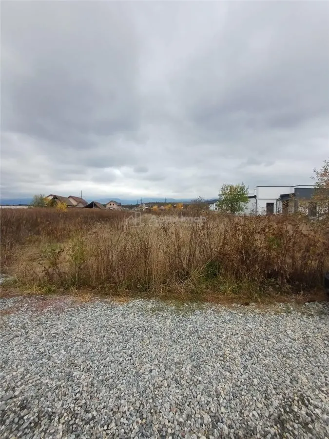 Terrain Résidentiel à Vendre à Avrig – Rue Dr. Aurel Cândea - foto 5