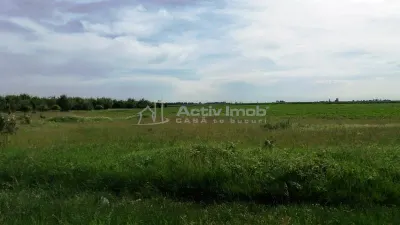 Terrain Constructible Magurele - foto 11