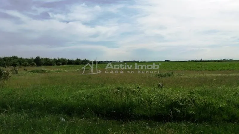 Terrain Constructible Magurele - foto 11