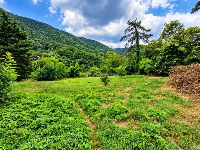 Baile Herculane | Villa Miramonte | 3204 m² Terrain | Centre-Ville - foto 11