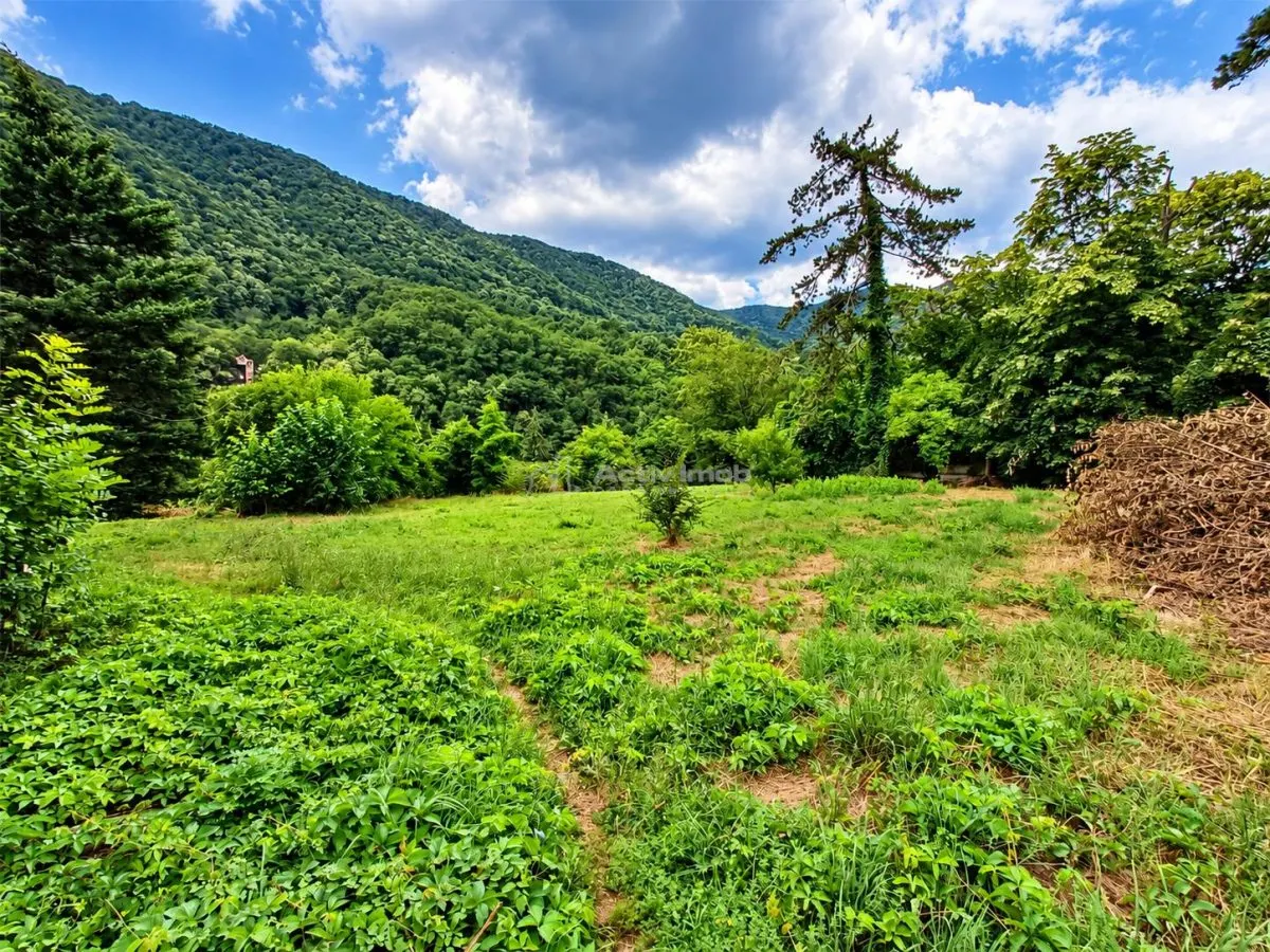 Baile Herculane | Villa Miramonte | 3204 m² Terrain | Centre-Ville - foto 11