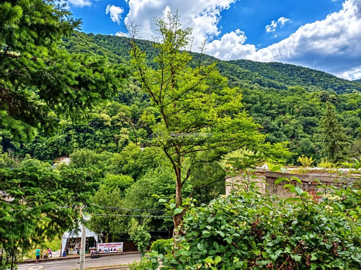 Baile Herculane | Villa Miramonte | 3204 m² Terrain | Centre-Ville - foto 14