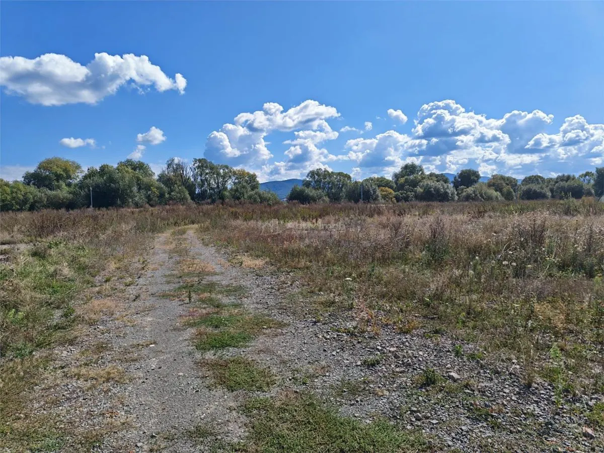 Industrial Land 48,450 sqm, Prepared Platform & HGV Access, Ozun, Brașov - foto 4