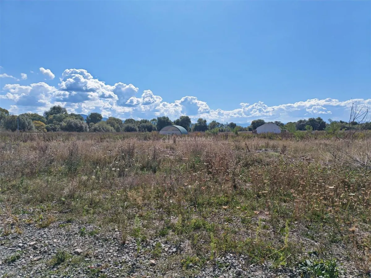 Industrial Land 48,450 sqm, Prepared Platform & HGV Access, Ozun, Brașov - foto 5