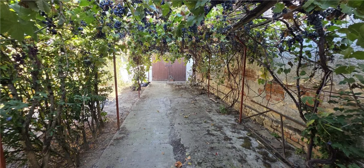 Deta | Detached House | 464 sqm + Garage ~16 sqm | Zero Buyer Commission - foto 17