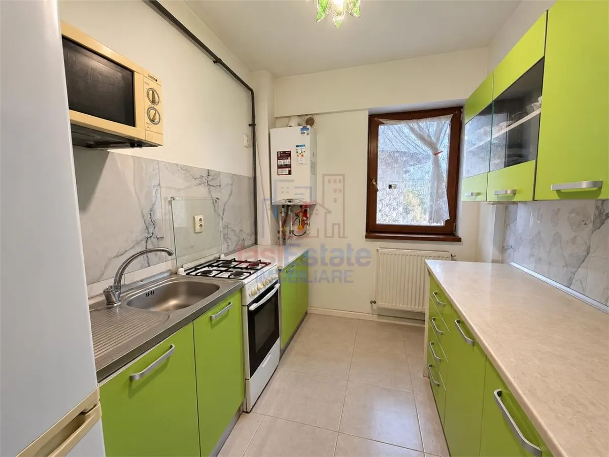Apartament cu o camera + terasa, decomandat, 67mp, Alexandru - foto 4