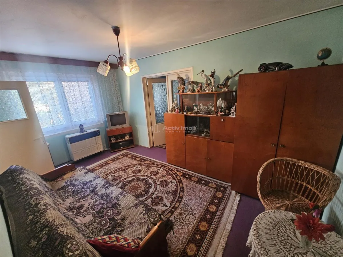 Apartment with 2 bedrooms for sale 34 sqm in Resita, Micro II area - foto 20