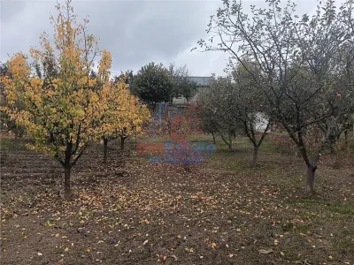 Chicirea Tomesti la sosea Vila P+M SC=140mp Teren 2200mp amenajat vie livada - foto 12