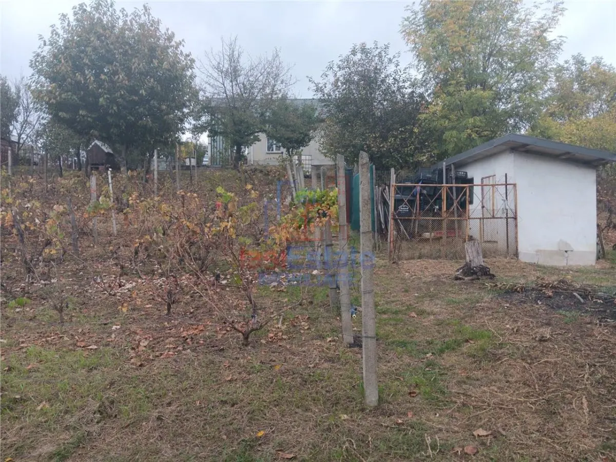 Chicirea Tomesti la sosea Vila P+M SC=140mp Teren 2200mp amenajat vie livada - foto 13