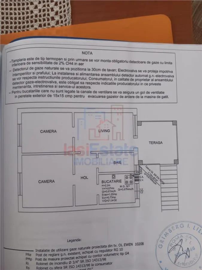 Chicirea Tomesti la sosea Vila P+M SC=140mp Teren 2200mp amenajat vie livada - foto 19