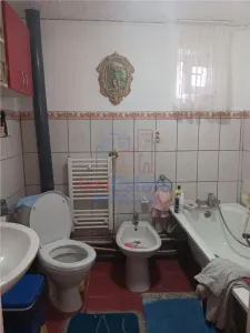 Chicirea Tomesti la sosea Vila P+M SC=140mp Teren 2200mp amenajat vie livada - foto 8