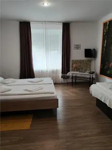 Casa in Hunedoara, central - foto 5