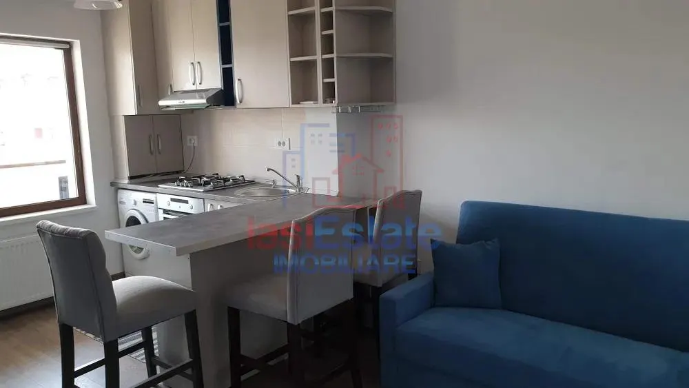 Apartament 2 Camere Nicolina - Prima Statie - foto 1
