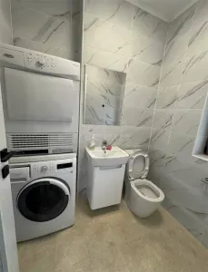 House / villa for rent 150 sqm in 1 Decembrie - foto 4
