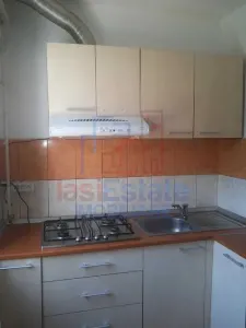 Apartment with 2 bedrooms for rent 35 sqm in Iasi, Tatarasi area - foto 4