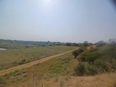 Vanzare Teren Giurgiu- Adunatii Copaceni - foto 3