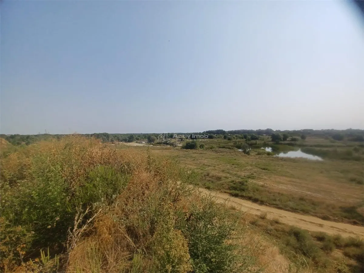 Vanzare Teren Giurgiu- Adunatii Copaceni - foto 4