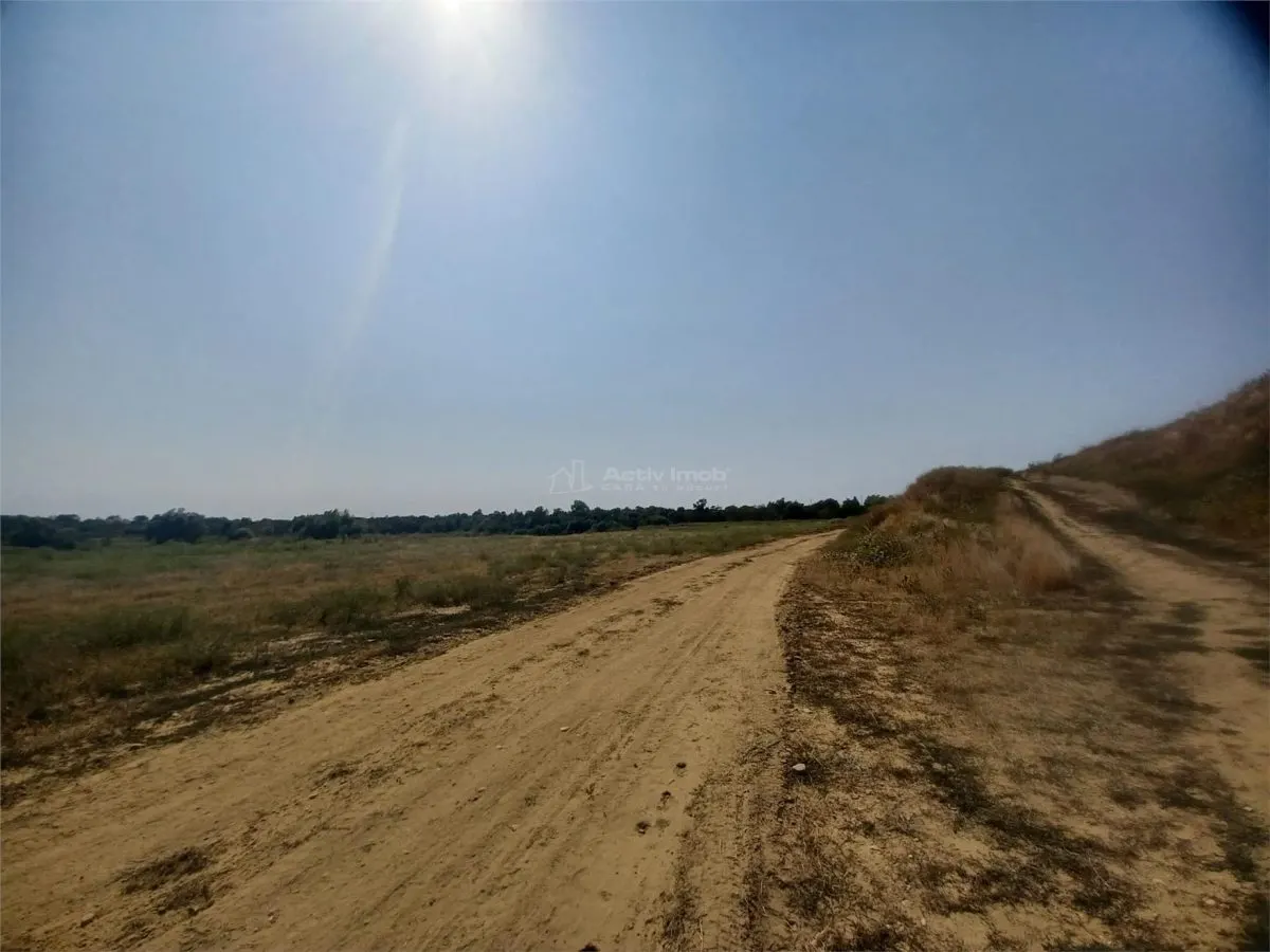 Vanzare Teren Giurgiu- Adunatii Copaceni - foto 5
