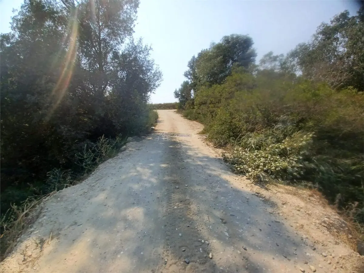 Vanzare Teren Giurgiu- Adunatii Copaceni - foto 6