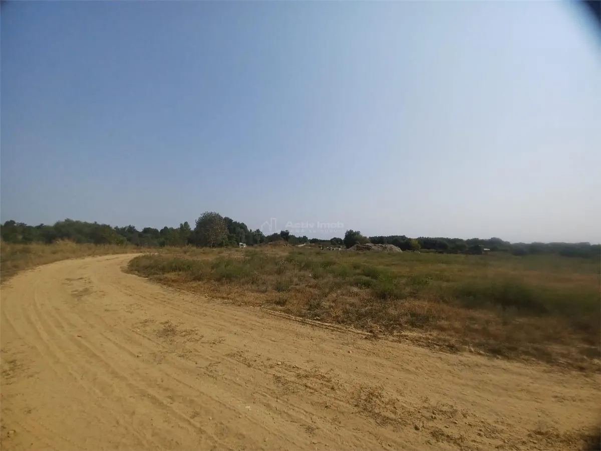 Vanzare Teren Giurgiu- Adunatii Copaceni - foto 9