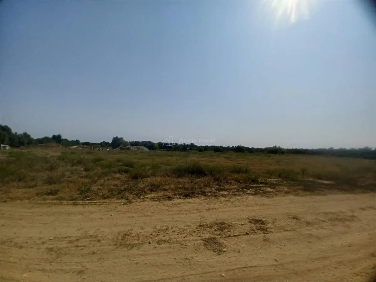 Vanzare Teren Giurgiu- Adunatii Copaceni - foto 10