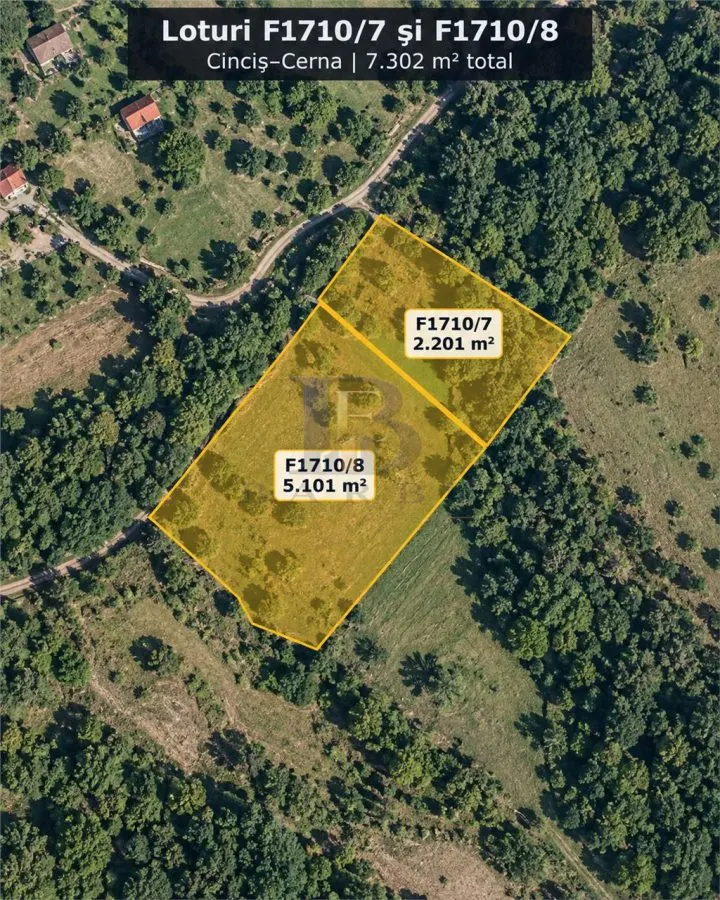 Land for sale 33281 sqm in Teliucu Inferior - foto 3