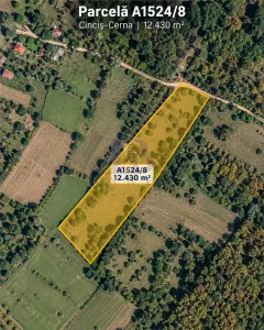 Land for sale 33281 sqm in Teliucu Inferior - foto 4
