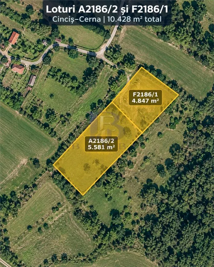 Land for sale 33281 sqm in Teliucu Inferior - foto 5