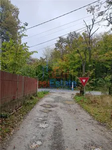 Releu Bucium padure Viluta P+M SU=70mp Teren 73mp - foto 2