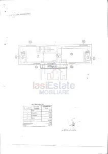 Releu Bucium padure Viluta P+M SU=70mp Teren 73mp - foto 8