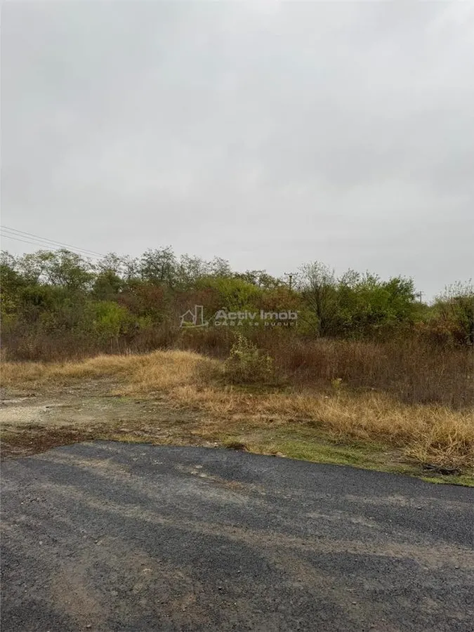 Teren 600mp Bragadiru /Clinceni - foto 2