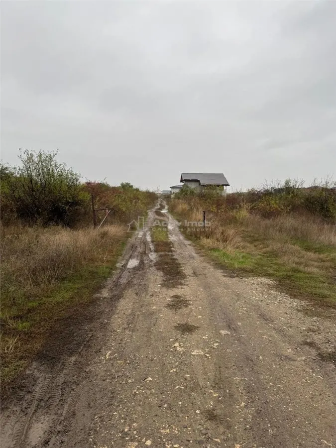 Teren 600mp Bragadiru /Clinceni - foto 4