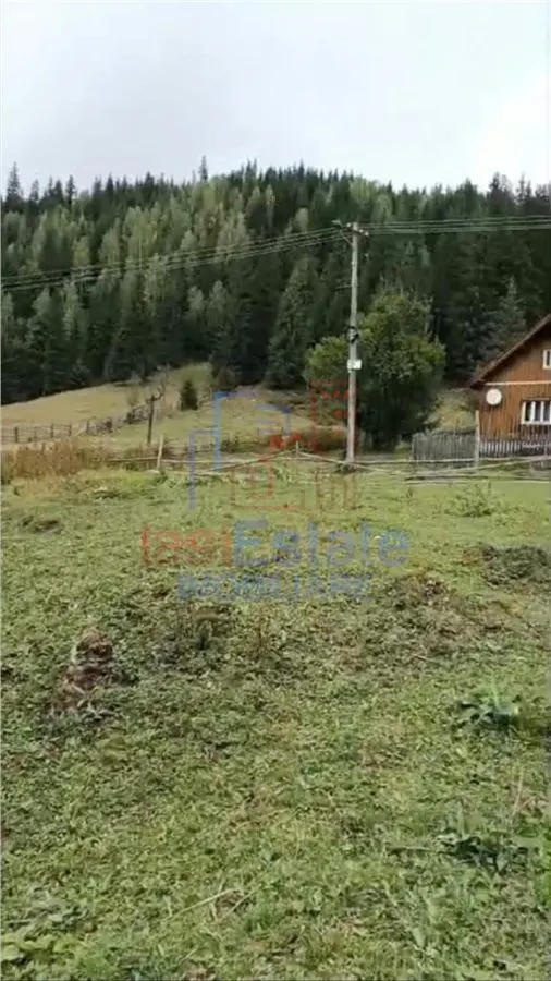 Proprietate Generoasă cu Casă și Pârâu în Dorna Arini (Sat Ortoaia - foto 1