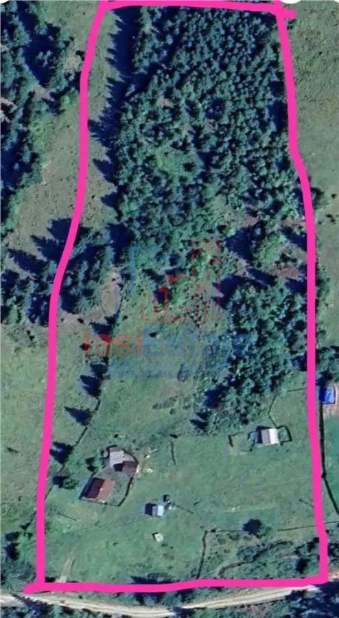 Proprietate Generoasă cu Casă și Pârâu în Dorna Arini (Sat Ortoaia - foto 2
