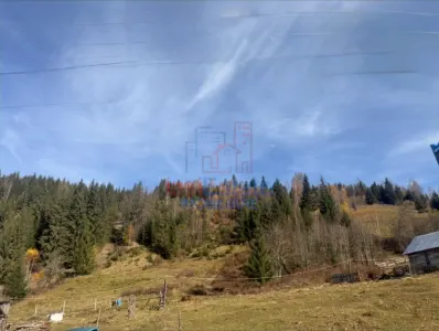 Proprietate Generoasă cu Casă și Pârâu în Dorna Arini (Sat Ortoaia - foto 3