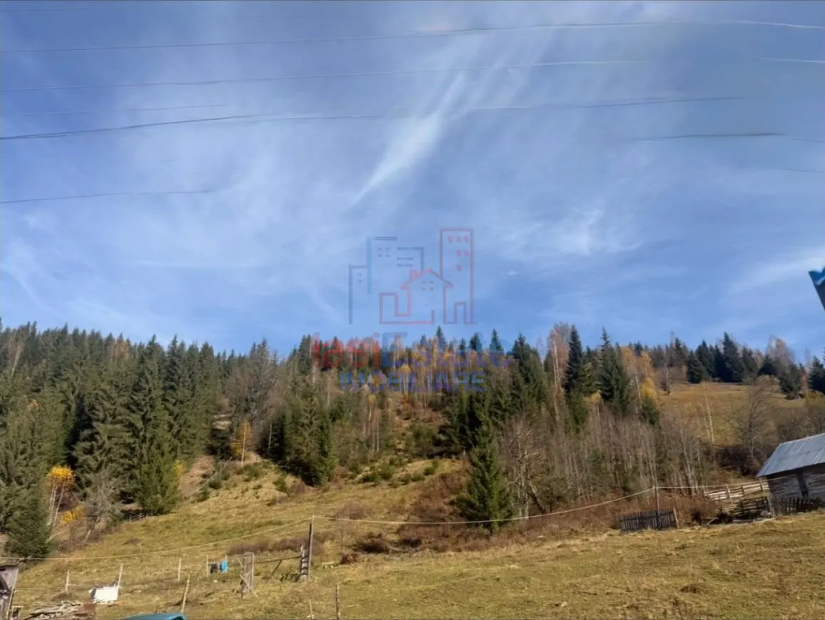 Proprietate Generoasă cu Casă și Pârâu în Dorna Arini (Sat Ortoaia - foto 3