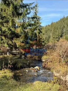 Proprietate Generoasă cu Casă și Pârâu în Dorna Arini (Sat Ortoaia - foto 4
