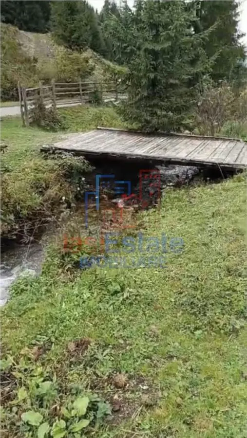 Proprietate Generoasă cu Casă și Pârâu în Dorna Arini (Sat Ortoaia - foto 5