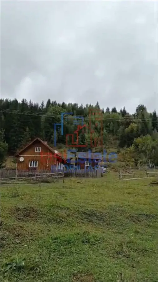 Proprietate Generoasă cu Casă și Pârâu în Dorna Arini (Sat Ortoaia - foto 6